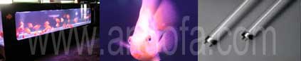 Aquarium lamp